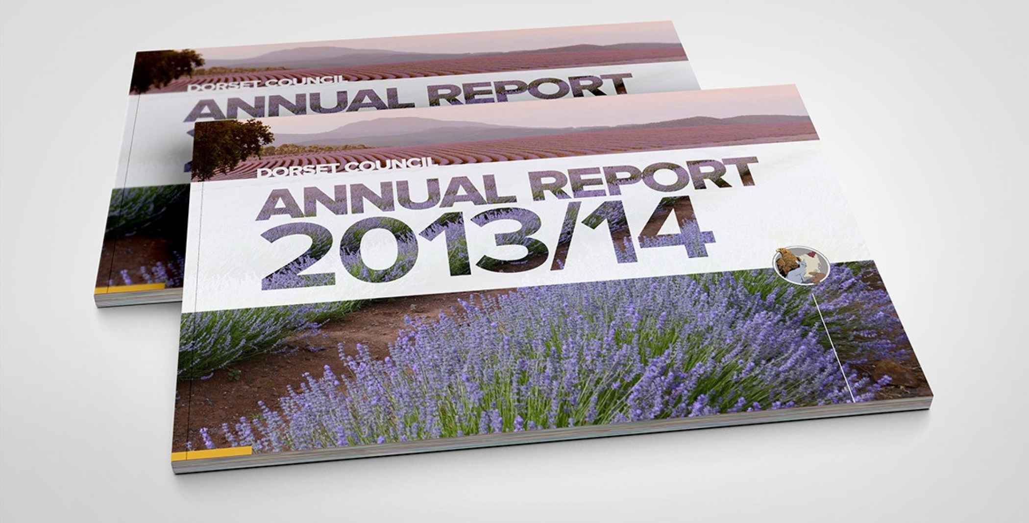 Dorset Council Annual Report 1