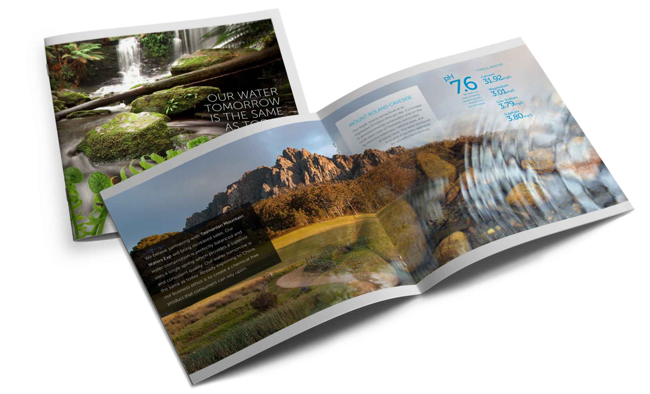 Tasmanian Springs Brochure