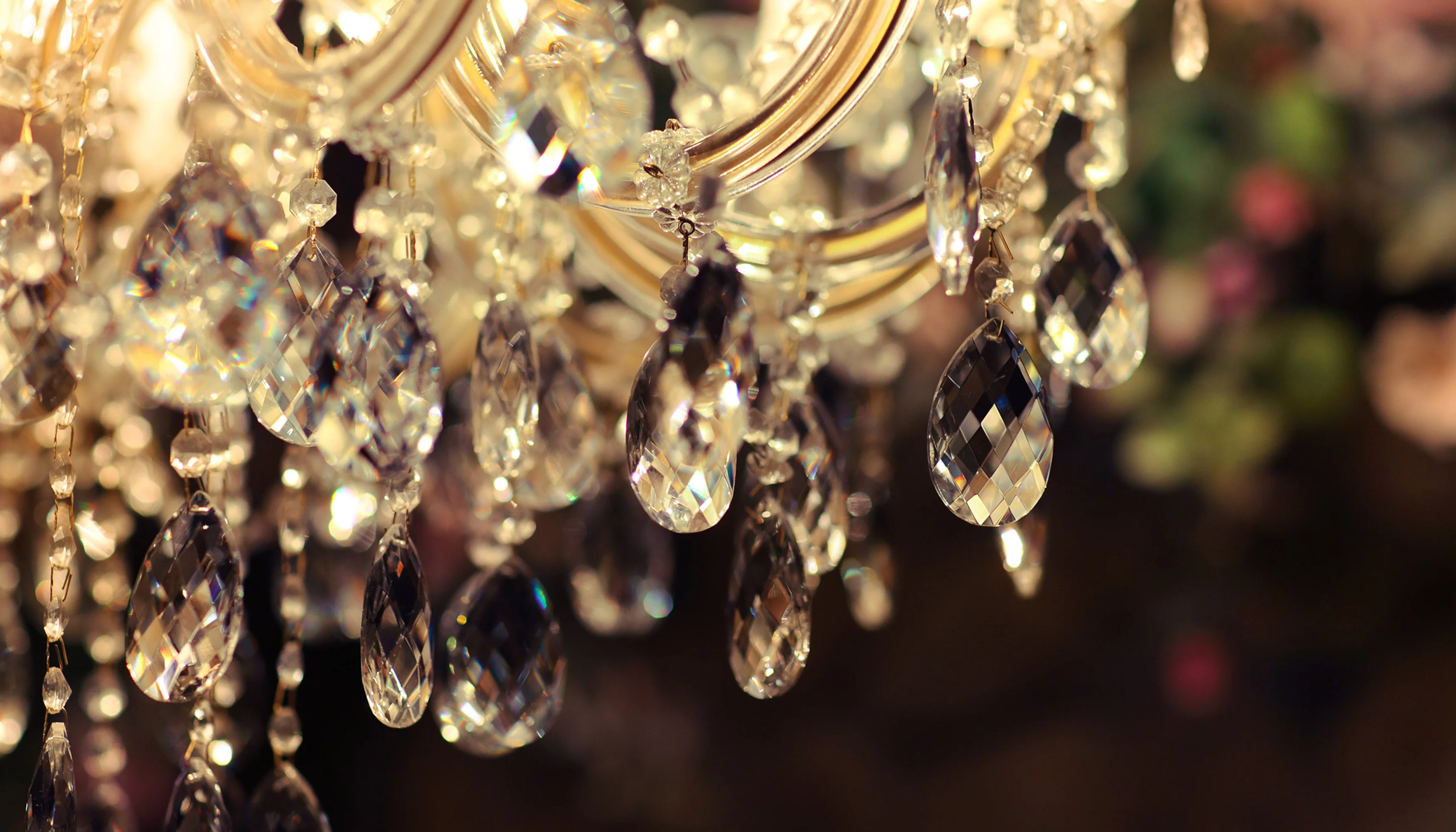 Arcoona Mano BK 170312 021708