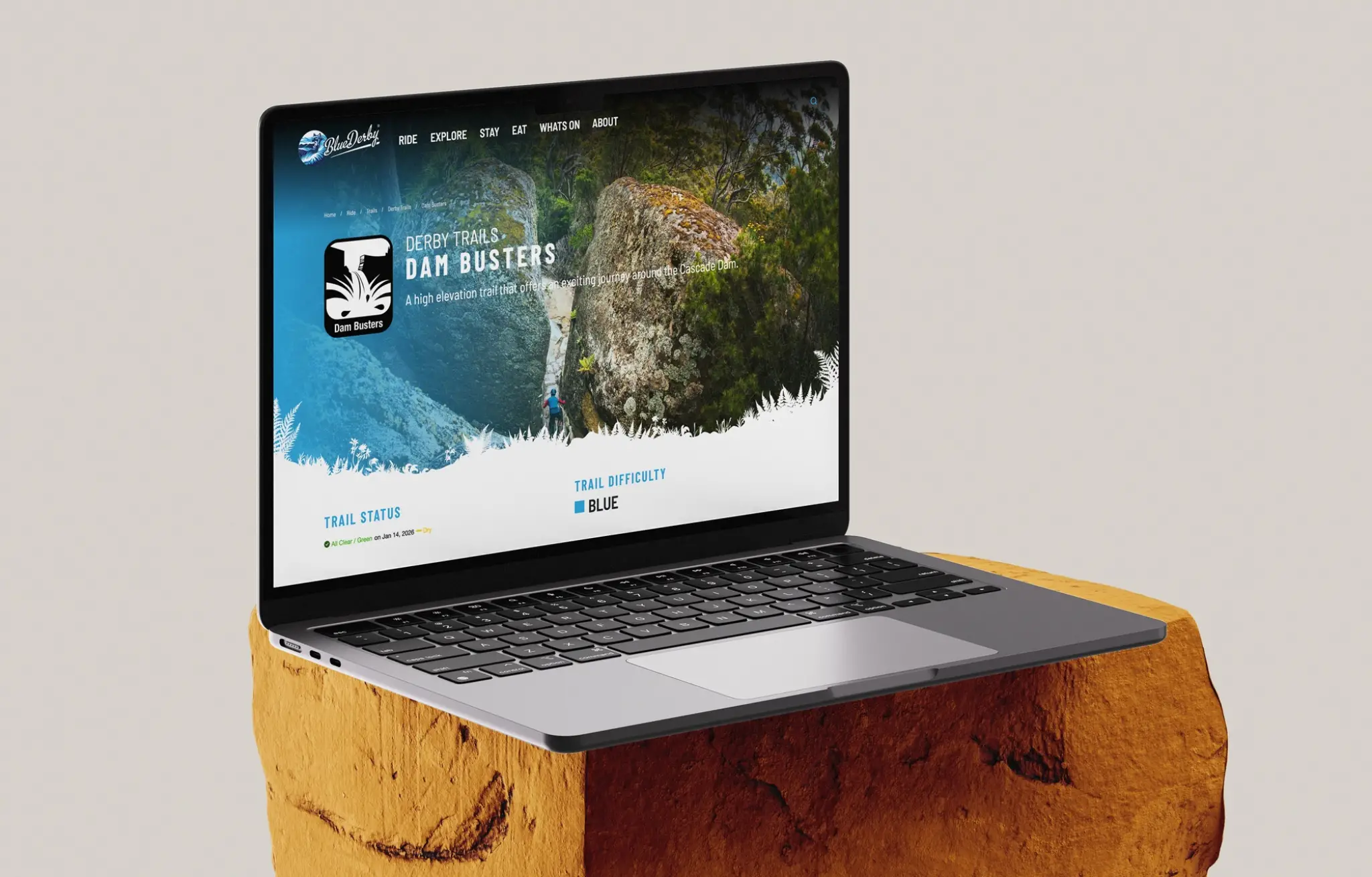 Blue Derby Mac Book Mockup 2