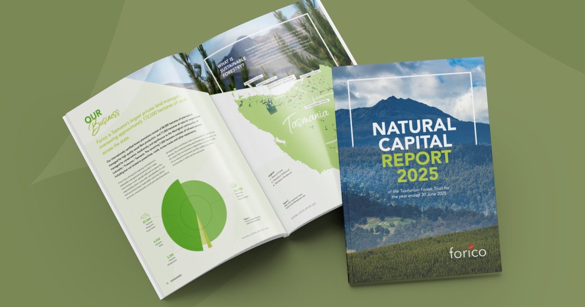 Forico Natural Capital Report 2025 Design