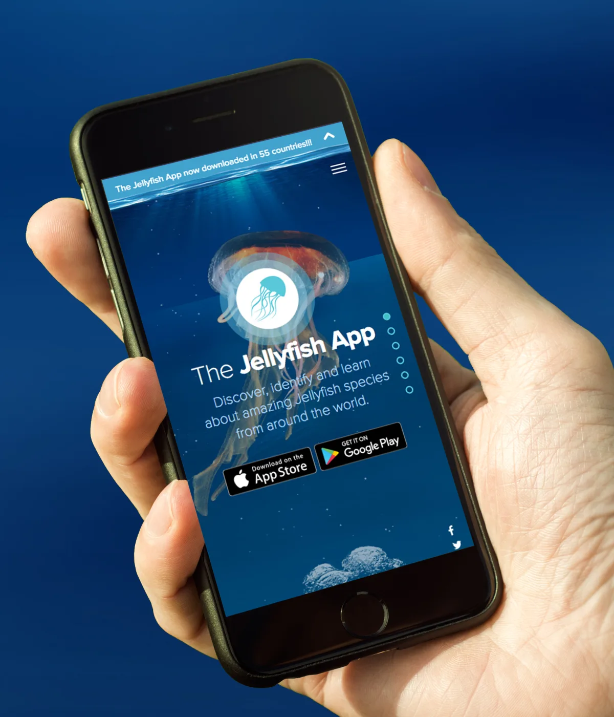 Jellyfish mobile hand