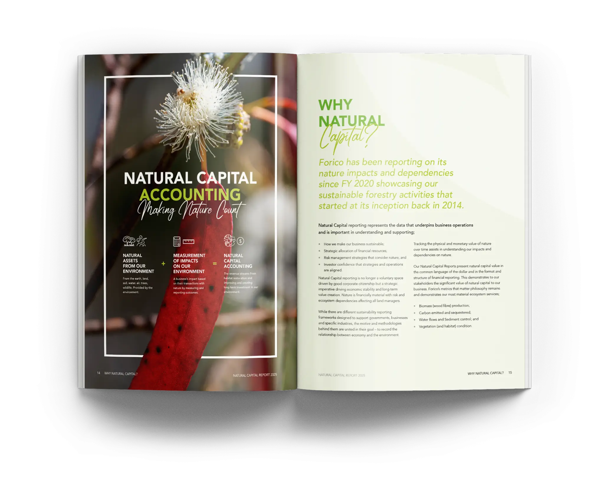 Forico NR25 Spread Mockup1