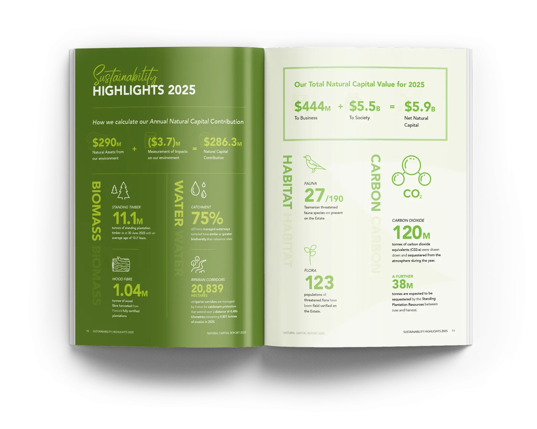 Forico NR25 Spread Mockup6