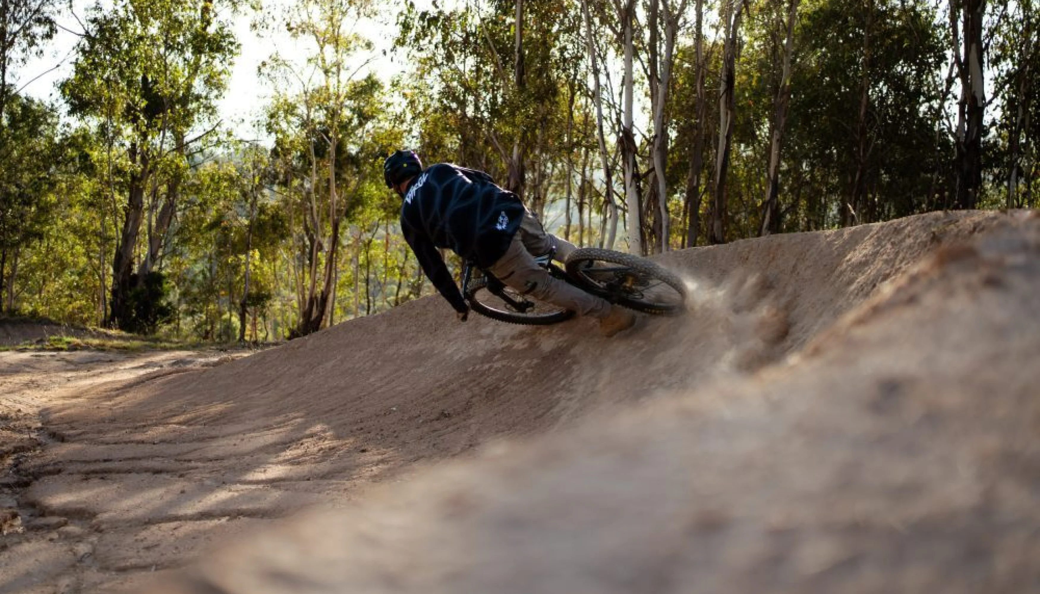 Walker designs omeo flow x