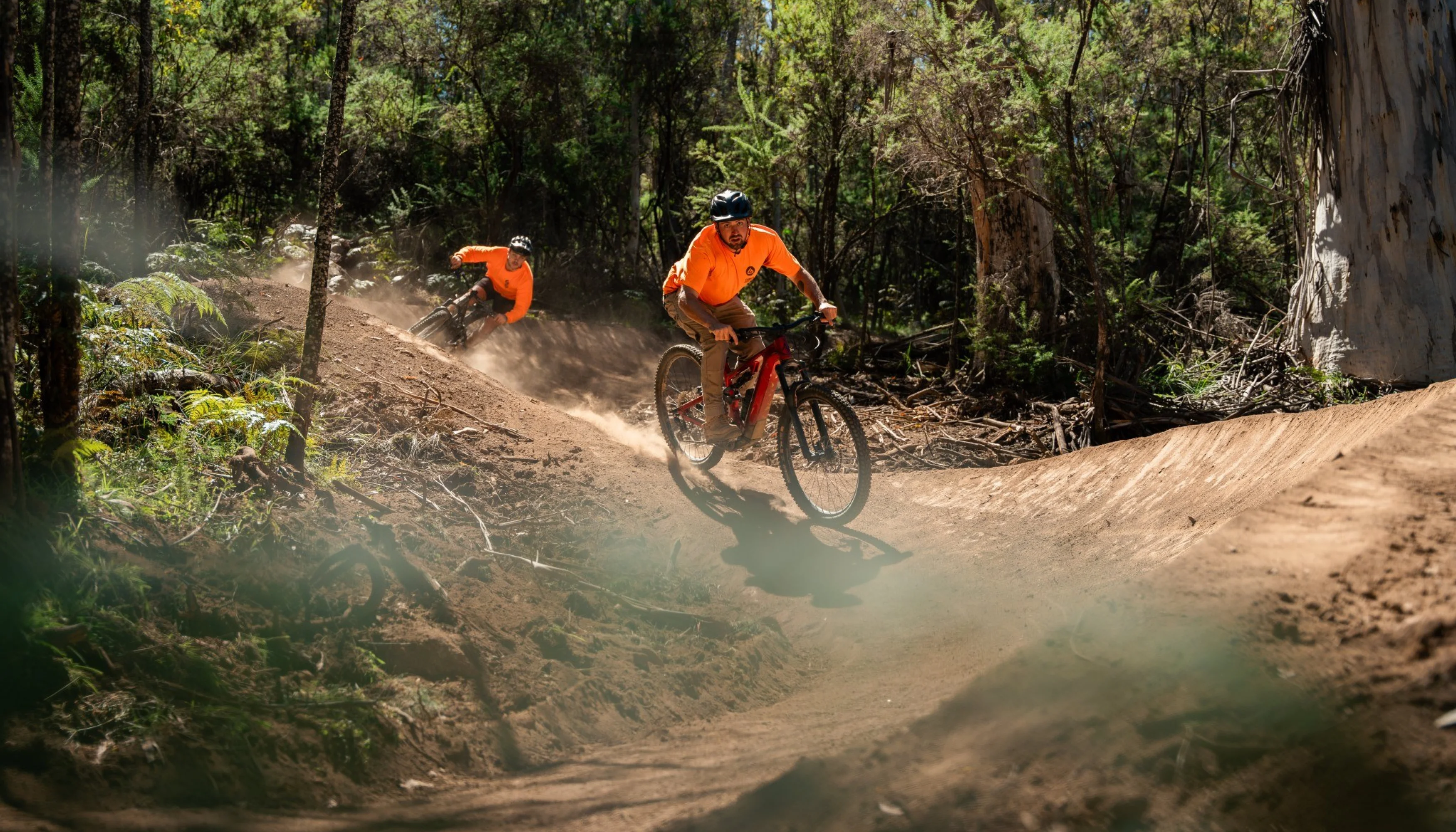 Walker designs omeo riders