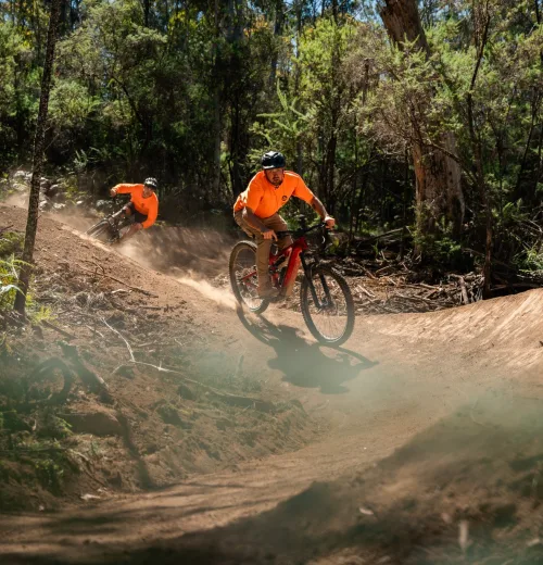Walker designs omeo riders